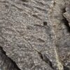 ⁦جار هندي قاروهيلز سوبر مرتفع⁩ - الصورة ⁦5⁩