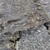 ⁦جار هندي قاروهيلز سوبر مرتفع⁩ - الصورة ⁦6⁩