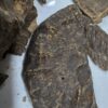 Hindi Garo Hills Char Triple Super VVIP - Image 10
