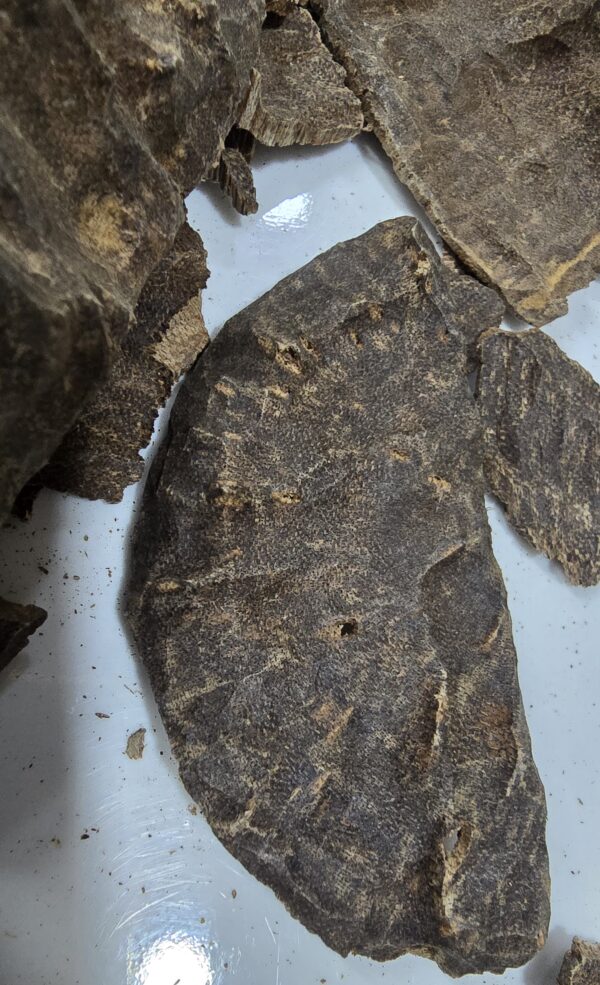 Hindi Garo Hills Char Triple Super VVIP - Image 10